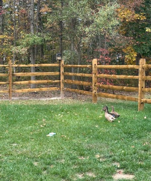 4-hole-split-rail